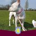 David Evitts - Facebook