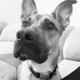 David Ewing - Facebook