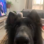 David - @_david.exe - Instagram