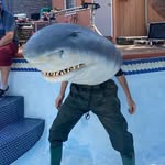 David Coleman - @david.exe_ - Instagram