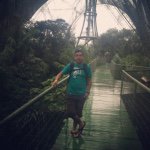 David Facio Quispe - @davifacio - Instagram