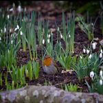 David A Fairweather - @fairweather.david - Instagram