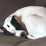 David Fairweather - @david.fairwerth - Instagram