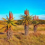 David Fairweather - @fairweather899 - Instagram