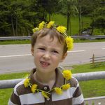 David - @david_faller - Instagram