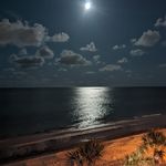 David Falwell - @falwelldavid - Instagram