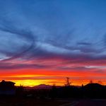 David Falwell - @david.falwell - Instagram