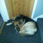 @david_farquhar - Instagram