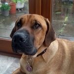 David Farquhar - @david.farquhar.583671 - Instagram