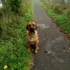 David Farquhar - @david.farquhar0 - TikTok
