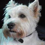 David Farrow - @davidfarrow9 - Instagram