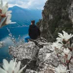 David Fast - @davidfast25 - Instagram