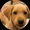 FATHER DAVID - @father.david2 - TikTok