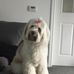 David Faulds - Facebook