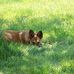 Dave Faunce - Facebook