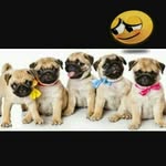 David Fausto - @david.fausto.39 - Instagram