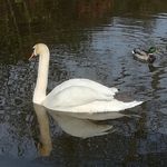 David fearn - @david_fearn - Instagram