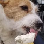 David Fearon - @dfearon61 - Instagram