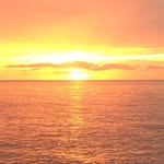 David Feehan - @david.feehan.77 - Instagram