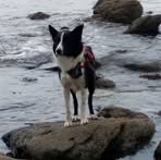 David Feehan - Facebook