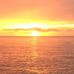David Feehan - Facebook