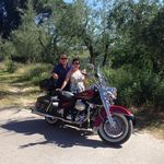 David Feeney - @davidafeeney - Instagram