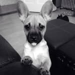 David Feeney - @david_feeney - Instagram