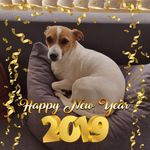 David Feeney - @davidfeeney59gmail.com_ - Instagram