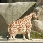 David Feher - @fhrdavid - Instagram