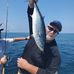 David J. Feigel - Facebook