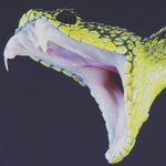 David567 - @david____feiler - Instagram