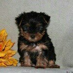 David D Feiler - @filoman0405 - Instagram