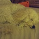 David Feiler - @dave70la - Instagram