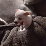 David Feister - @david.feister.5 - Instagram