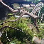 David Fellah - @tortue.3457 - Instagram