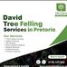 David Tree Felling Muthuzi - Facebook