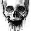 David - @david.felts - TikTok