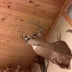 David Felts - @felts032 - Instagram