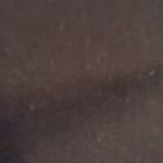 David Felts - @felts134 - Instagram