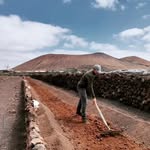 David Fernández - @davidfernandez_wine - Instagram