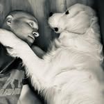 David Feuerstein - @david.feuerstein.92 - Instagram