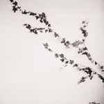 David-Files - @dawidlisf0z - Instagram