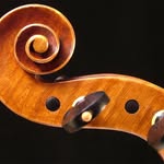David Finck - @david.finck.luthier - Instagram