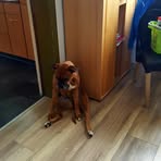 David Finke - Facebook