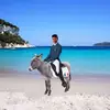 davidfiori32 - @davidfiori32 - TikTok