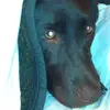 David Flake - @2185021621 - TikTok