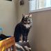 Dave Flavell - Facebook