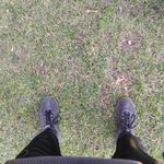 David Flower - @dav_dav2008 - Instagram