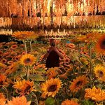 David Flowers - @davidflowers_ - Instagram