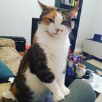 David Foisy - @foisy.david - Instagram